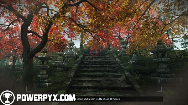 《浪人崛起》全拍照點位置攻略