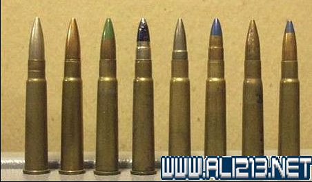 《異塵餘生4》子彈背景及原型等圖文解析攻略