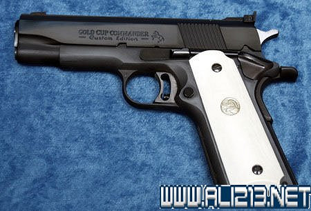 《異塵餘生4》子彈背景及原型等圖文解析攻略