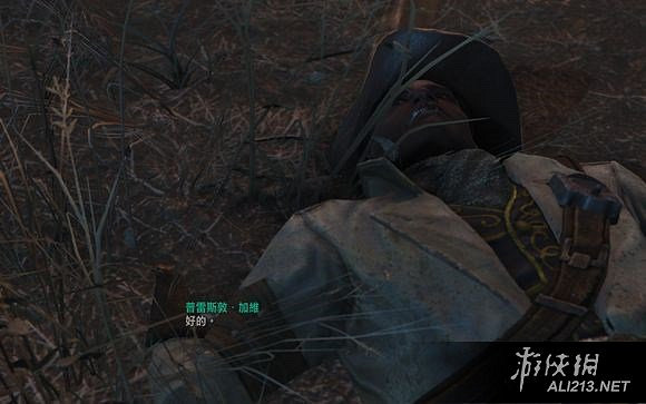 《異塵餘生4》普雷斯頓黑人同伴隱藏任務觸發方條件解析攻略