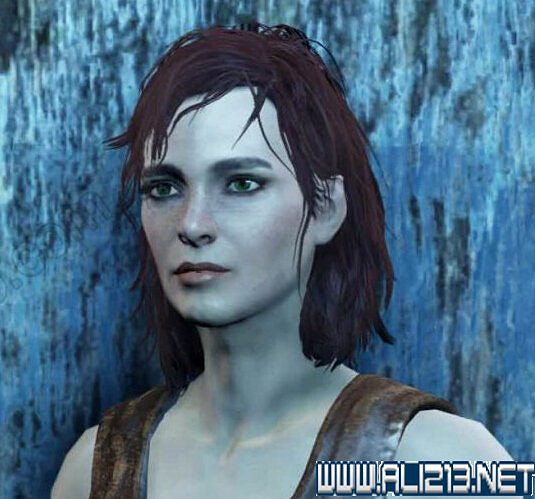 《異塵餘生4》全隊友好感度技能定位詳解攻略