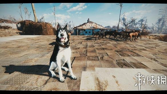 《異塵餘生4》高清哈士奇狗肉皮膚MOD使用教學 《異塵餘生4》高清哈士奇狗肉皮膚MOD使用教學