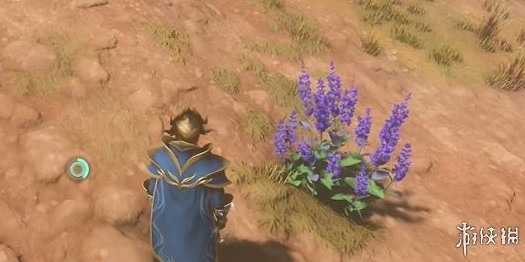 《霧鎖王國》靛青植物位置介紹