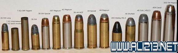 《異塵餘生4》子彈背景及原型等圖文解析攻略