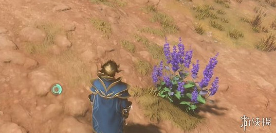 《霧鎖王國》靛青植物獲得方法