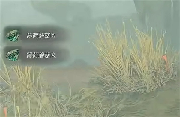 《霧鎖王國》薄荷蘑菇肉介紹