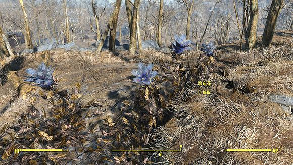 《異塵餘生4》新手開荒圖文攻略 遊戲怎麽玩