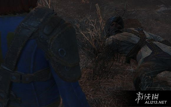 《異塵餘生4》普雷斯頓黑人同伴隱藏任務觸發方條件解析攻略