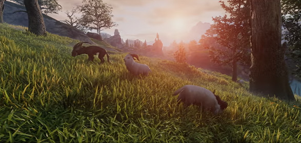 《霧鎖王國》種地方法