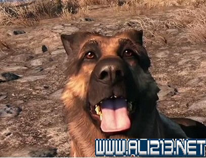 《異塵餘生4》全隊友好感度技能定位詳解攻略