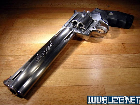 《異塵餘生4》子彈背景及原型等圖文解析攻略