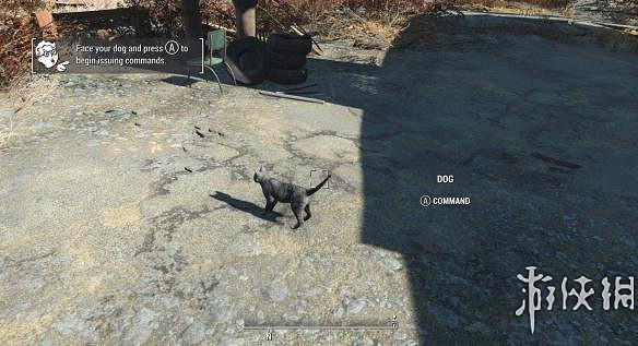 《異塵餘生4》狗肉替換為貓咪MOD使用教學