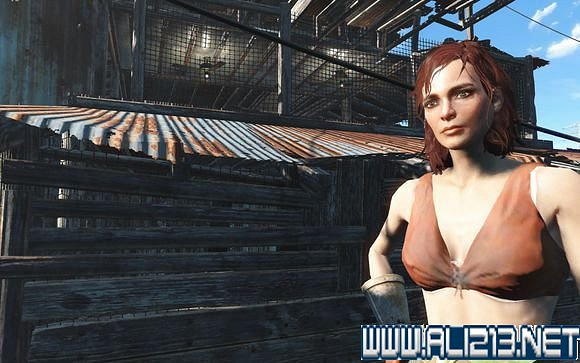 《異塵餘生4》要塞化工坊建造技巧分享