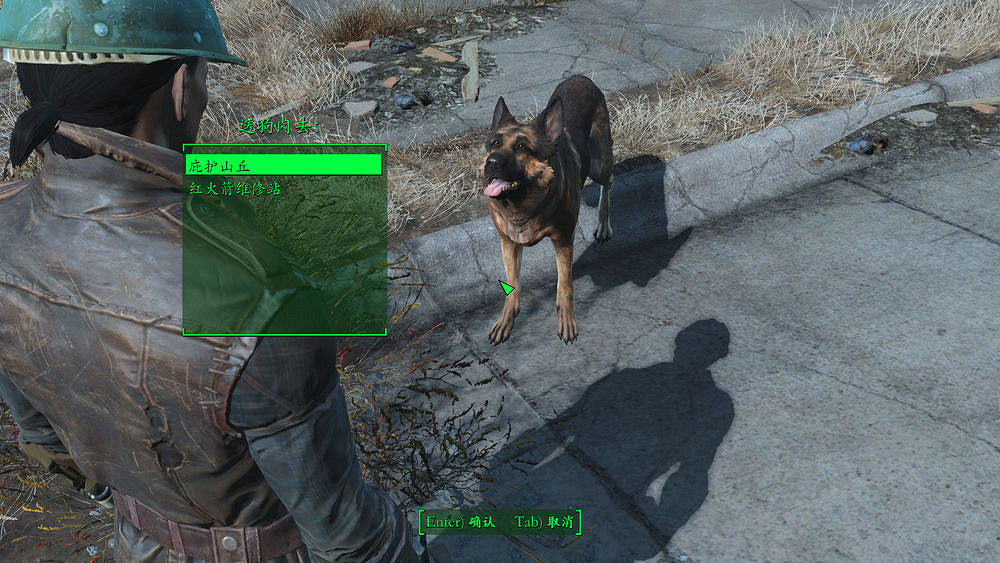 《異塵餘生4》智力敏捷流殘酷難度圖文指南