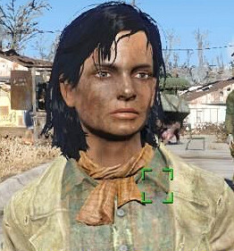 《異塵餘生4》村民捏臉程式碼一覽