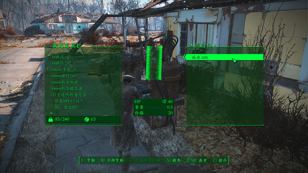 《異塵餘生4》智力敏捷流殘酷難度圖文指南