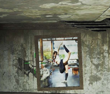 《異塵餘生4》屋裡壁畫替換方法