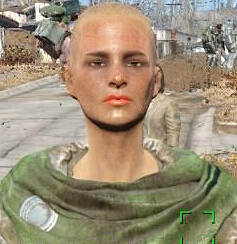 《異塵餘生4》村民捏臉程式碼一覽