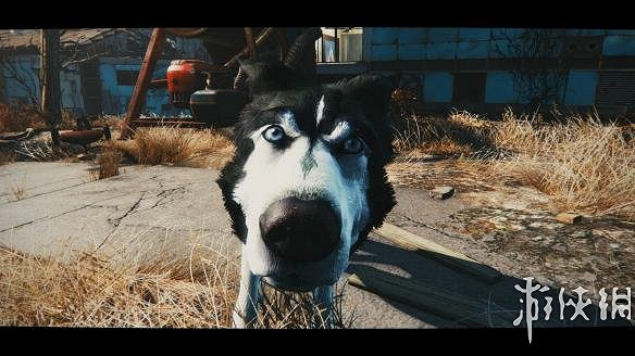 《異塵餘生4》畫質、狗肉及無限空間等MOD匯總