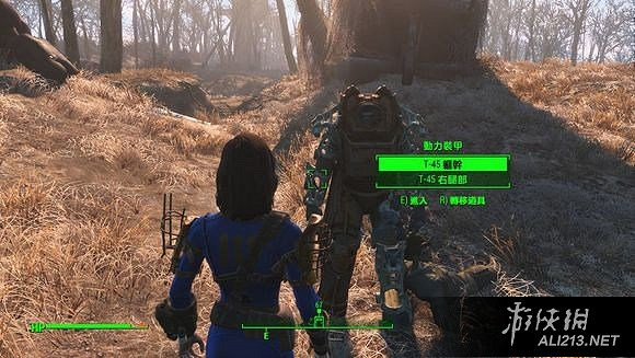 《異塵餘生4》近戰力量耐力肉搏流玩法解析攻略