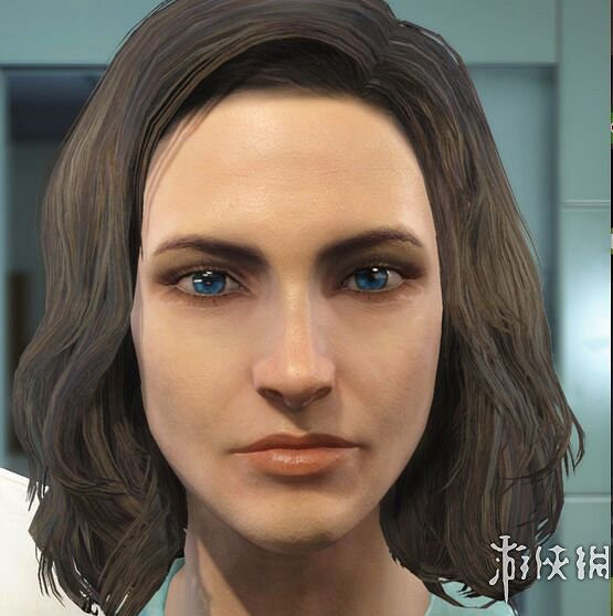 《異塵餘生4》畫質、狗肉及無限空間等MOD匯總