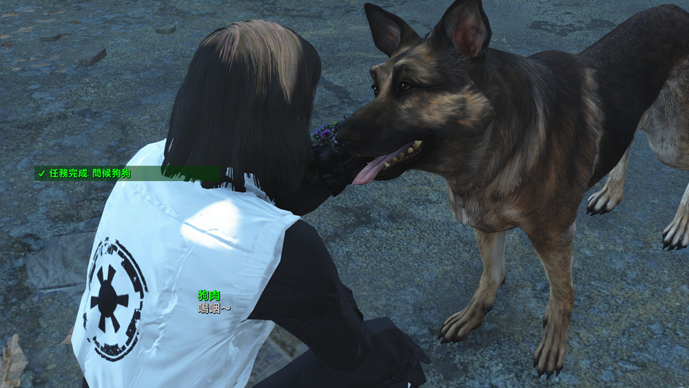 《異塵餘生4》母親的尋子之路圖文故事賞析 自製劇情故事