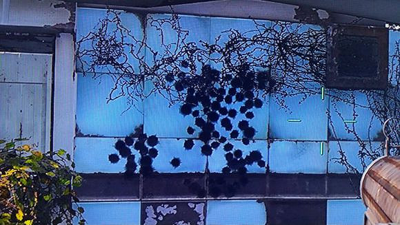 《異塵餘生4》雙彈突擊步槍改裝射擊測試解析攻略 《異塵餘生4》雙彈突擊步槍改裝射擊測試解析攻略