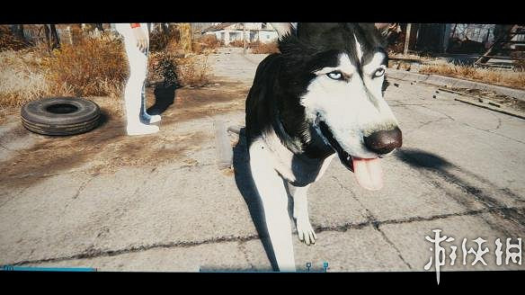 《異塵餘生4》畫質、狗肉及無限空間等MOD匯總