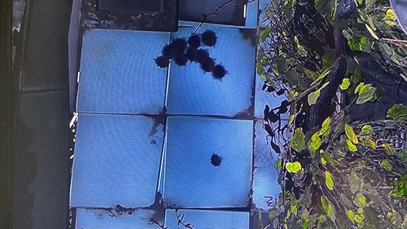 《異塵餘生4》雙彈突擊步槍改裝射擊測試解析攻略 《異塵餘生4》雙彈突擊步槍改裝射擊測試解析攻略