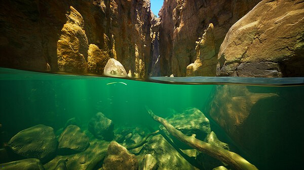 《Subside》Steam試玩發布 VR版潛水模擬