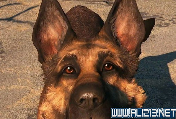 《異塵餘生4》提高隊友戰鬥力方法解析攻略 怎麽使隊友獲得無限子彈