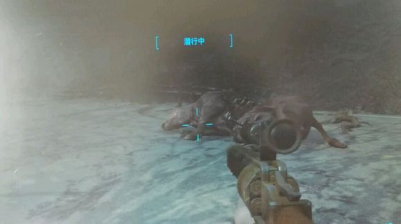 《異塵餘生4》半新手生存難度滿魅力潛狙玩法圖文解析攻略