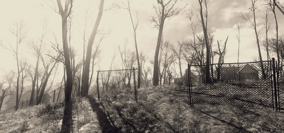 《異塵餘生4》最新生存模式更新體驗評價