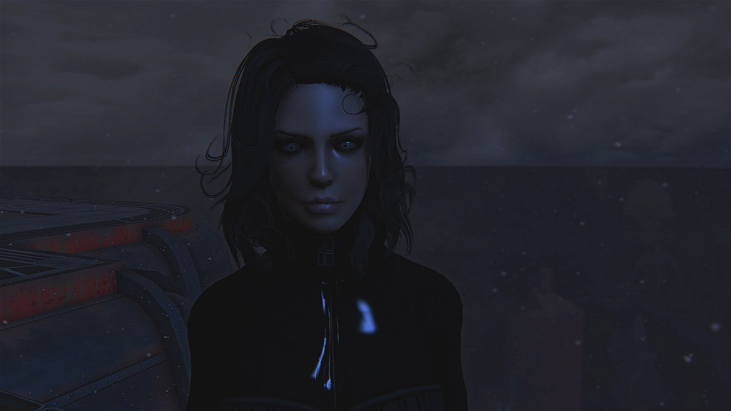 《異塵餘生4》黑夜傳說女主捏臉圖賞析