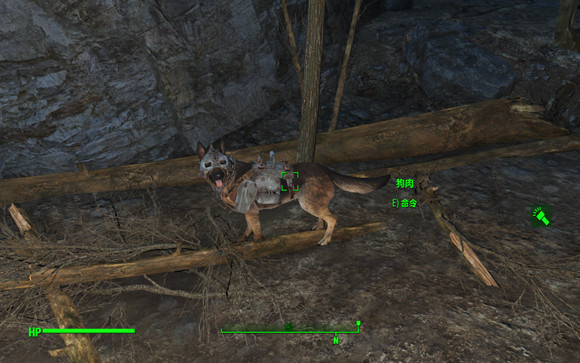 《異塵餘生4》狗肉裝備獲得方法及位置解析攻略 《異塵餘生4》狗肉裝備獲得方法及位置解析攻略