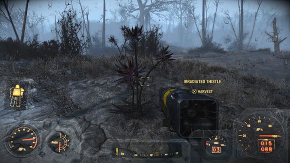 《異塵餘生4》野生藥材獲取位置指南