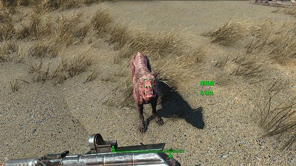 《異塵餘生4》燈塔狗一覽 《異塵餘生4》燈塔狗一覽