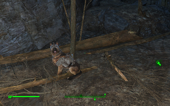 《異塵餘生4》狗肉裝備獲得方法及位置解析攻略 《異塵餘生4》狗肉裝備獲得方法及位置解析攻略