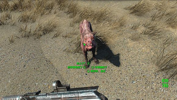 《異塵餘生4》燈塔狗一覽 《異塵餘生4》燈塔狗一覽