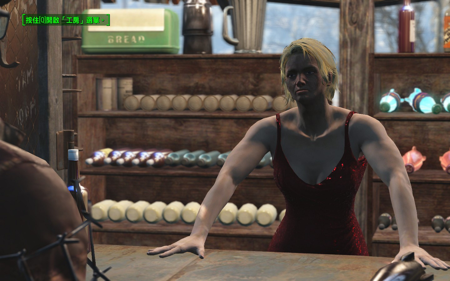 《異塵餘生4》格雷花園內外建設圖文一覽 夜空中的美麗花園