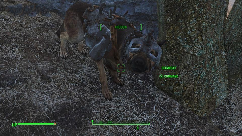 《異塵餘生4》同伴狗肉超讚護甲獲得方法解析攻略 《異塵餘生4》同伴狗肉超讚護甲獲得方法解析攻略