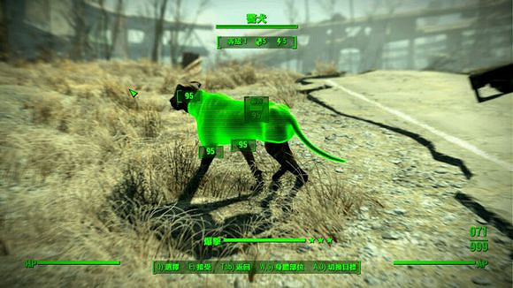 《異塵餘生4》偶遇兄弟會帶狗一覽