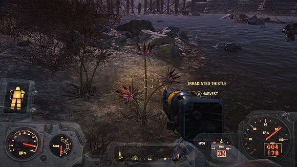 《異塵餘生4》野生藥材獲取位置指南