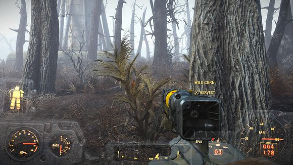 《異塵餘生4》野生藥材獲取位置指南