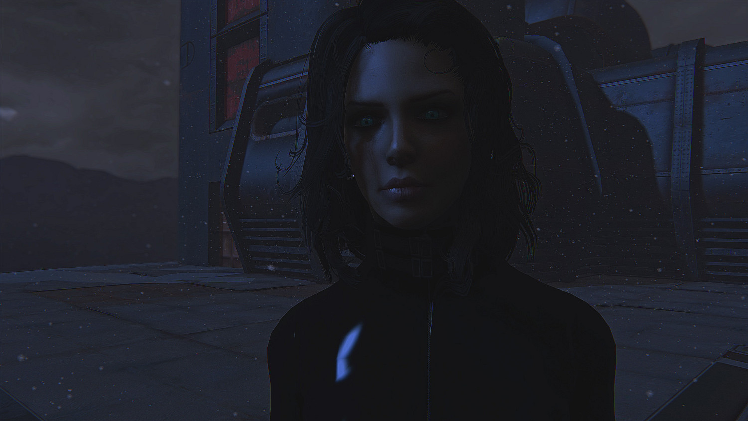 《異塵餘生4》黑夜傳說女主捏臉圖賞析