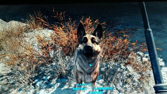 《異塵餘生4》半新手生存難度滿魅力潛狙玩法圖文解析攻略