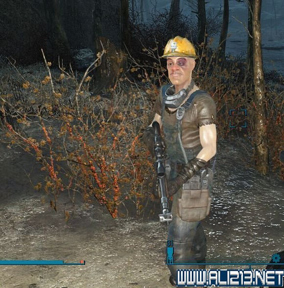 《異塵餘生4》逼真光頭強捏人圖賞 惡搞捏人玩法