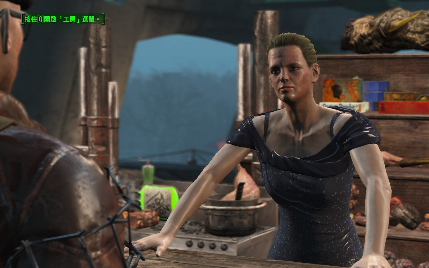 《異塵餘生4》格雷花園內外建設圖文一覽 夜空中的美麗花園