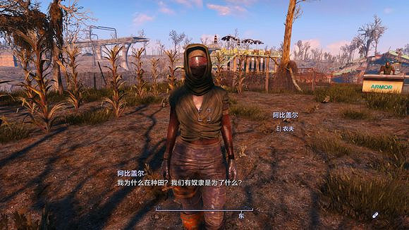 《異塵餘生4》土匪玩法解析攻略