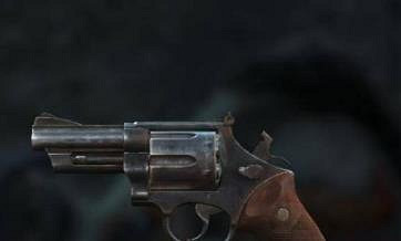 《異塵餘生4》前期必拿武器推薦 《異塵餘生4》前期必拿武器推薦